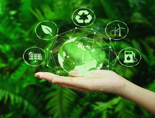 Benefits of Implementing Sustainability Skills in Your Company